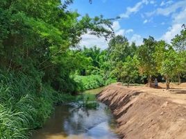  Land for sale in Chiang Mai, Saluang, Mae Rim, Chiang Mai