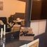 Studio Wohnung zu verkaufen im Orient Towers, Orient Towers, Al Bustan, Ajman, Vereinigte Arabische Emirate