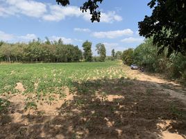  Land for sale in Yasothon, Phai, Sai Mun, Yasothon