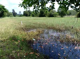  Land for sale in Tha Sawang, Mueang Surin, Tha Sawang