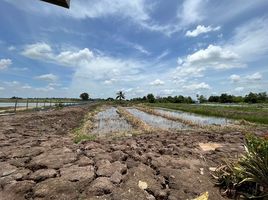  Grundstück zu verkaufen in Kamphaeng Saen, Nakhon Pathom, Sa Si Mum, Kamphaeng Saen