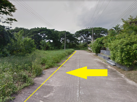  Land for sale in Nong Chom, San Sai, Nong Chom