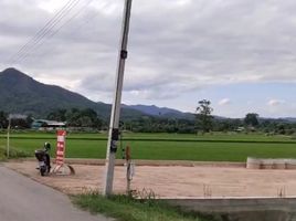  Grundstück zu verkaufen in Mae Wang, Chiang Mai, Thung Pi