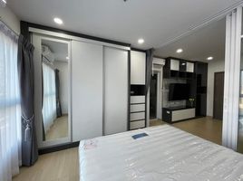 1 Schlafzimmer Wohnung zu vermieten im Supalai Veranda Ramkhamhaeng, Hua Mak