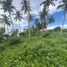  Land for sale in Surigao del Norte Caraga, Santa Monica, Surigao del Norte, Caraga