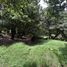  Land for sale in Dota San Jose, Dota, San Jose
