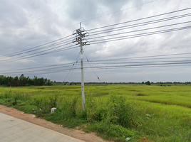 Grundstück zu verkaufen in Bang Khla, Chachoengsao, Tha Thong Lang, Bang Khla