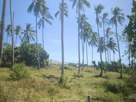  Land for sale in Maenam, Koh Samui, Maenam