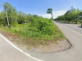  Land for sale in Lamae, Chumphon, Thung Luang, Lamae