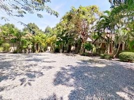  Land for sale in Na Chom Thian, Sattahip, Na Chom Thian