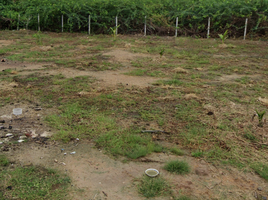  Land for sale in Cha-Am, Phetchaburi, Cha-Am, Cha-Am