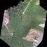  Land for sale at Yamu Hills, Pa Khlok