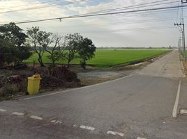  Grundstück zu verkaufen in Bang Bo, Samut Prakan, Khlong Suan, Bang Bo, Samut Prakan