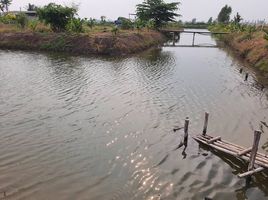  Grundstück zu verkaufen in Bang Len, Nakhon Pathom, Nin Phet, Bang Len, Nakhon Pathom