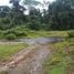  Land for sale in Upala, Alajuela, Upala