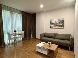 1 Bedroom Condo for rent at The Nimmana Condo, Suthep, Mueang Chiang Mai