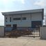 2 Bedroom Warehouse for rent in Chonnabot, Khon Kaen, Kut Phia Khom, Chonnabot