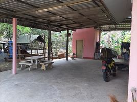 1 Schlafzimmer Haus zu verkaufen in Mueang Amnat Charoen, Amnat Charoen, Na Wang, Mueang Amnat Charoen, Amnat Charoen