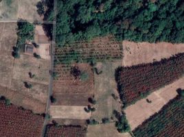  Land for sale in Yasothon, Krachai, Pa Tio, Yasothon