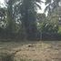  Land for sale in San Pa Tong, Chiang Mai, Ban Mae, San Pa Tong