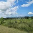  Land for sale in Choeng Thale, Phuket, Choeng Thale, Thalang