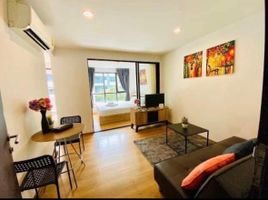 1 Bedroom Condo for rent at Centrio, Wichit, Phuket Town, Phuket