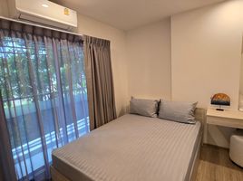 1 Schlafzimmer Wohnung zu vermieten im Phyll Phuket by Central Pattana, Wichit