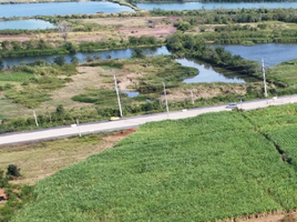  Grundstück zu verkaufen in Bamnet Narong, Chaiyaphum, Khok Roeng Rom, Bamnet Narong