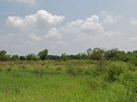  Grundstück zu verkaufen in Wihan Daeng, Saraburi, Nong Mu