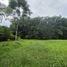  Land for sale in Thalang, Phuket, Thep Krasattri