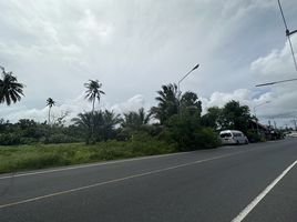  Land for sale in Nai Yang Beach, Sakhu, Mai Khao