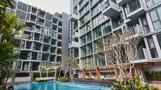Photos 1 of the Communal Pool at Define by Mayfair Sukhumvit 50