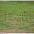  Land for sale in Chanthaboury, Vientiane, Chanthaboury
