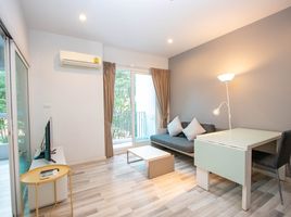 1 Bedroom Apartment for sale at North 5 Condo Chiangmai, Suthep