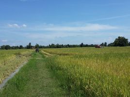 在Mueang Sukhothai, 素可泰出售的 土地, Ban Kluai, Mueang Sukhothai