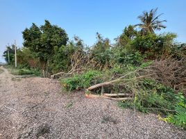  Grundstück zu verkaufen in Sai Noi, Nonthaburi, Khun Si, Sai Noi, Nonthaburi