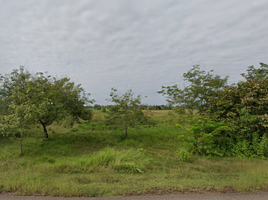  Land for sale in That Phanom, That Phanom, That Phanom