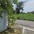  Land for sale in Mueang Chiang Mai Chiang Mai, Pa Daet