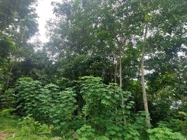  Land for sale in Chalong, Phuket Town, Chalong