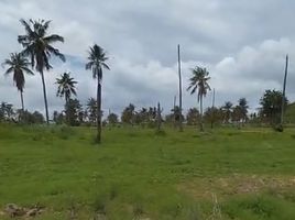  Land for sale in Nong Prue, Pattaya, Nong Prue