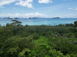  Grundstück zu verkaufen in Ko Yao, Phangnga, Ko Yao Noi