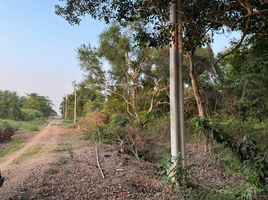  Grundstück zu verkaufen in Sai Noi, Nonthaburi, Khun Si