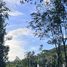 ขายที่ดิน ใน ตลิ่งงาม, สุราษฎร์ธานี, ตลิ่งงาม