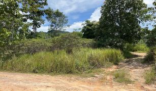 N/A Grundstück zu verkaufen in Khlong Thom Nuea, Krabi 