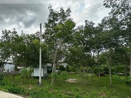  Grundstück zu verkaufen in Ban Khai, Rayong, Bang But