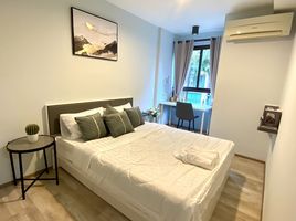 1 Schlafzimmer Appartement zu vermieten im ZCAPE III, Wichit, Phuket Town, Phuket, Thailand