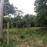  Land for sale in Chang Phueak, Mueang Chiang Mai, Chang Phueak