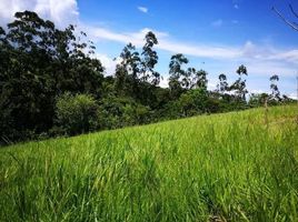  Land for sale in Costa Rica, Tilaran, Guanacaste, Costa Rica