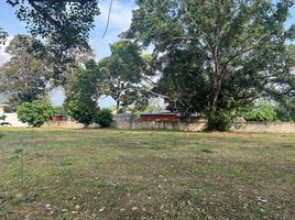  Land for sale in Chang Phueak, Mueang Chiang Mai, Chang Phueak