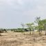  Land for sale in Nakhon Ratchasima, Makluea Kao, Sung Noen, Nakhon Ratchasima